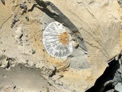 Découvrez l&rsquo;histoire d&rsquo; Argital